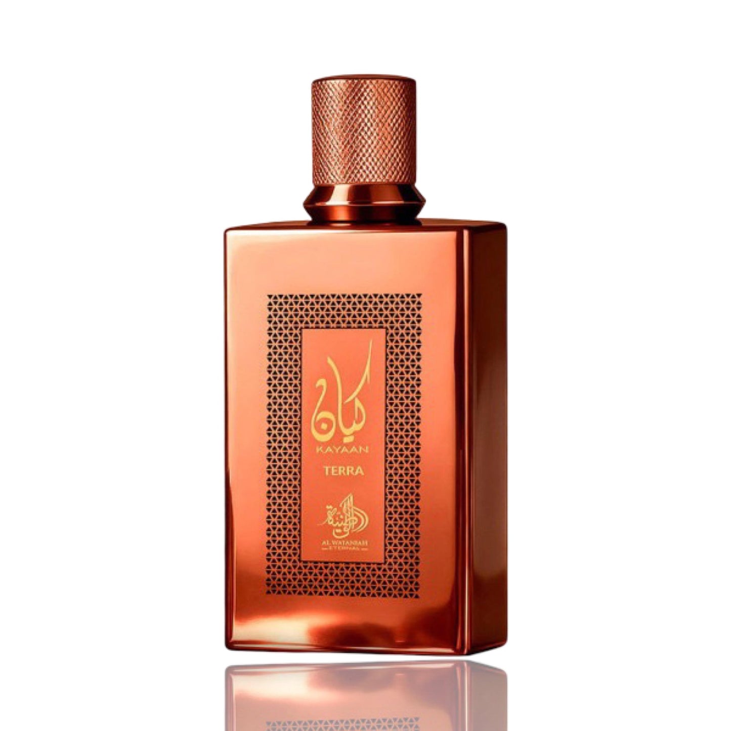 Kayaan Terra Eau de Parfum 100ml by Al Wataniah